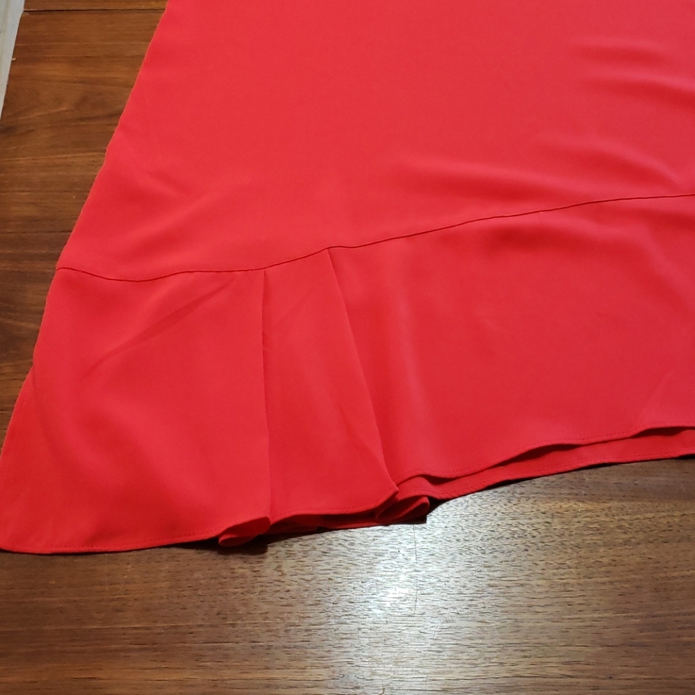 Red Shift Dress - Picture 3 of 4